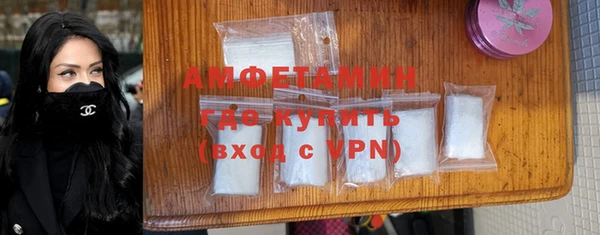 крисы Бородино