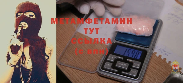 крисы Бородино
