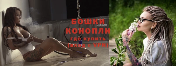 крисы Бородино