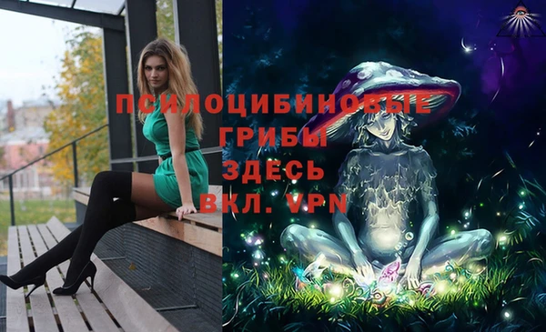 крисы Бородино