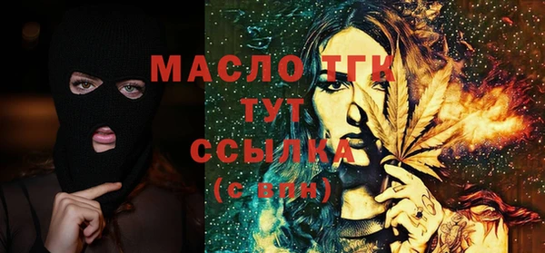 крисы Бородино