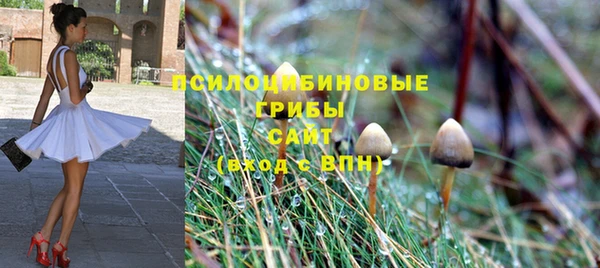 скорость Бронницы