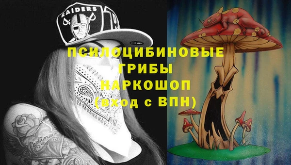 скорость Бронницы