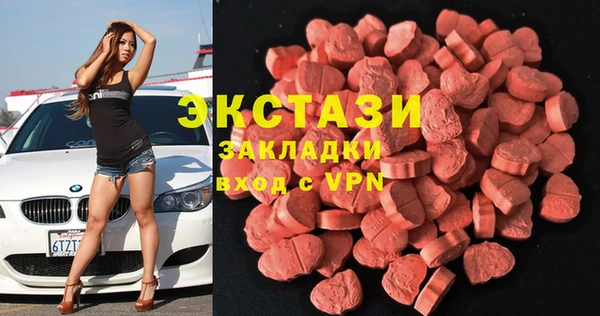 крисы Бородино