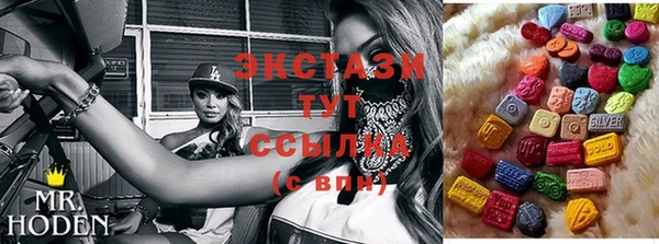 крисы Бородино