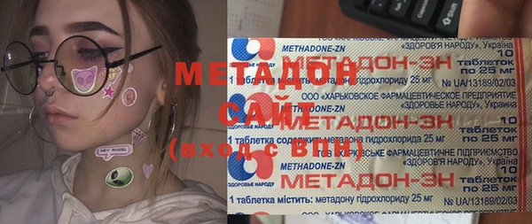 крисы Бородино