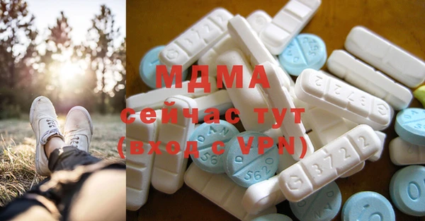 крисы Бородино