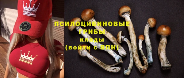 скорость Бронницы