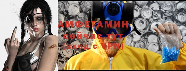 крисы Бородино