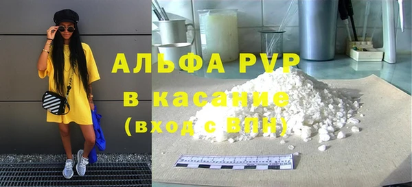 крисы Бородино