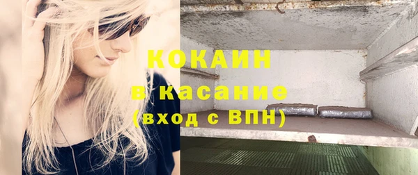 крисы Бородино
