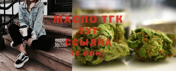 крисы Бородино